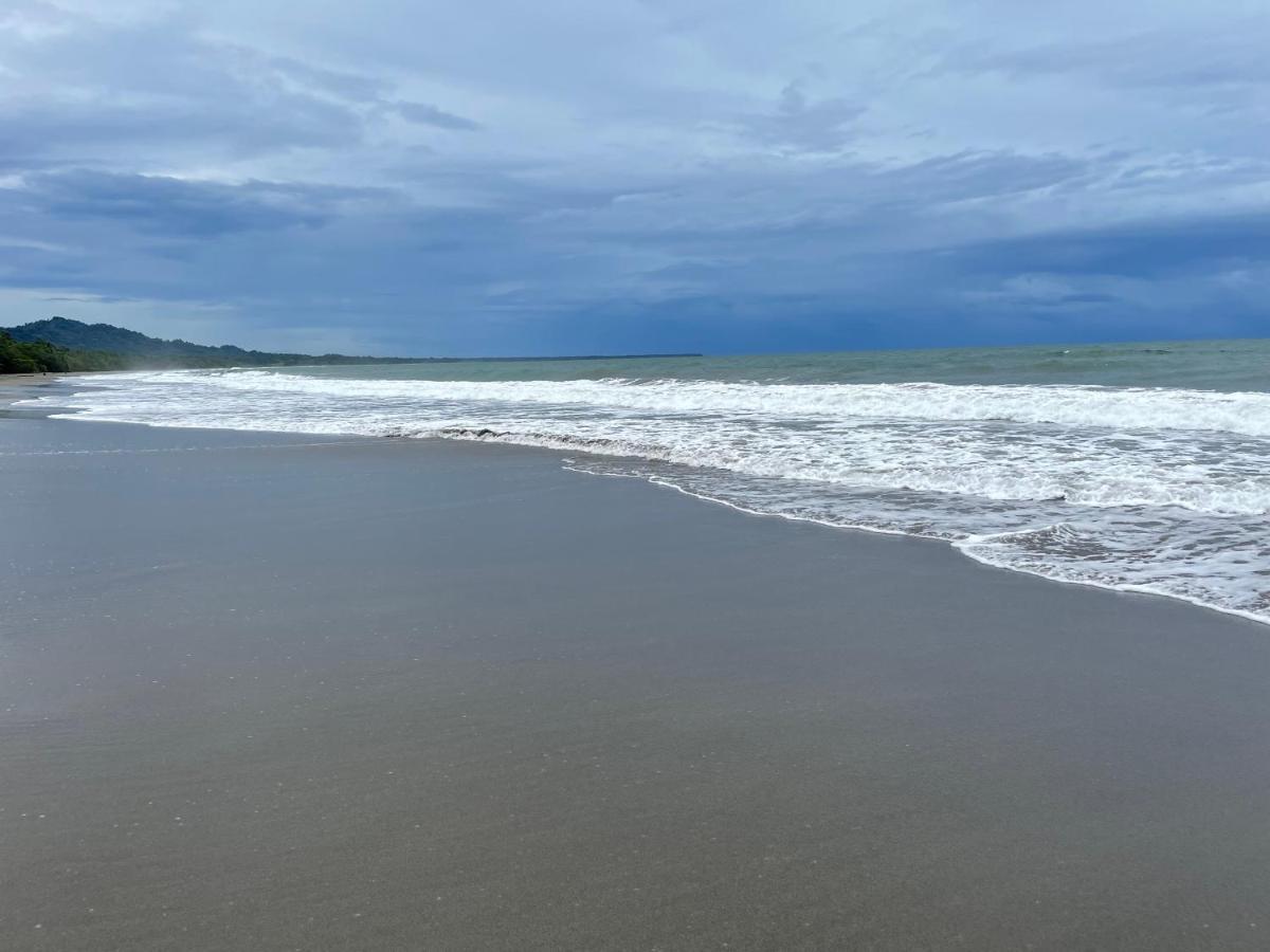 Perla Negra Beachfront Puerto Viejo de Talamanca Kültér fotó