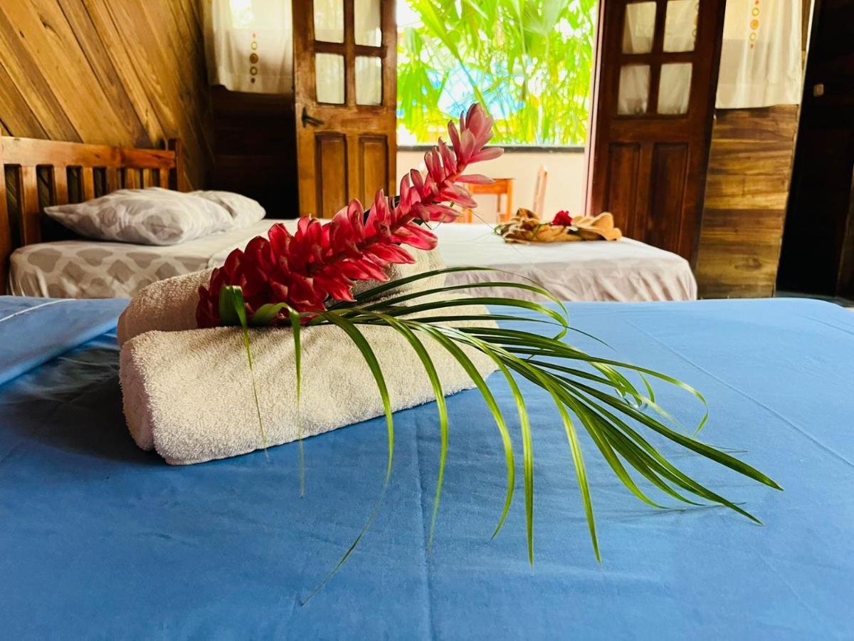 Perla Negra Beachfront Puerto Viejo de Talamanca Kültér fotó