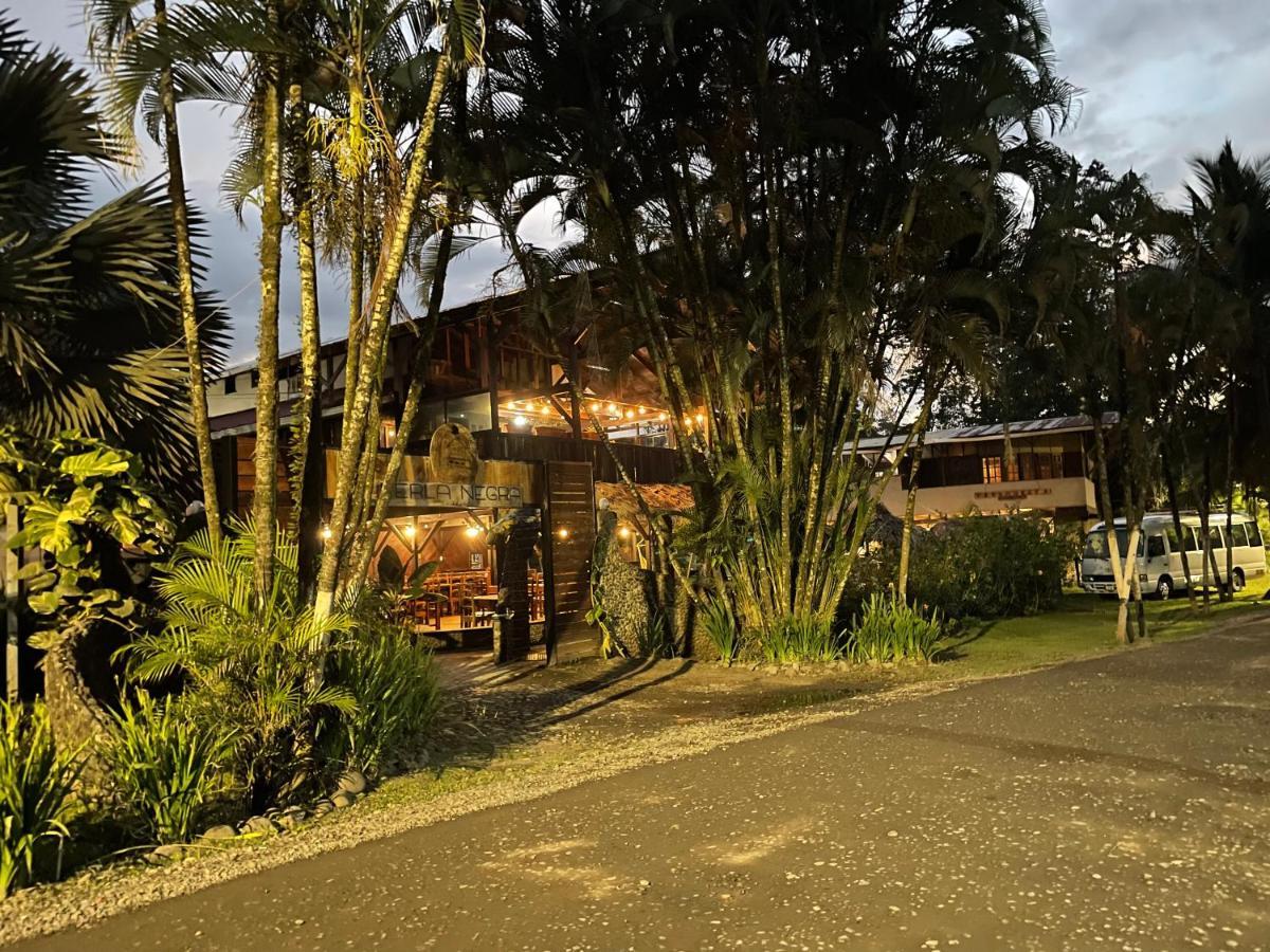 Perla Negra Beachfront Puerto Viejo de Talamanca Kültér fotó