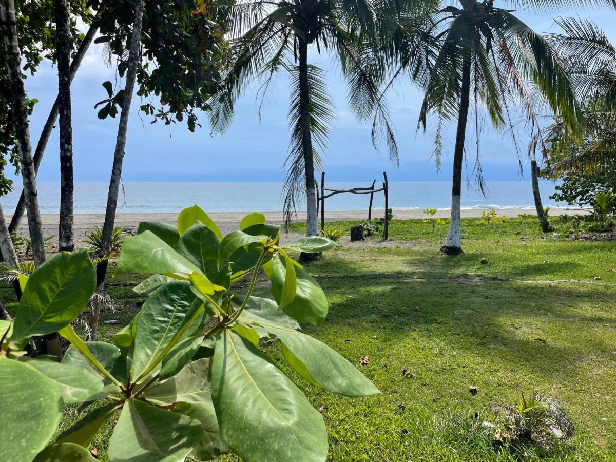 Perla Negra Beachfront Puerto Viejo de Talamanca Kültér fotó